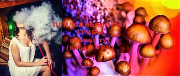 дживик Вязники