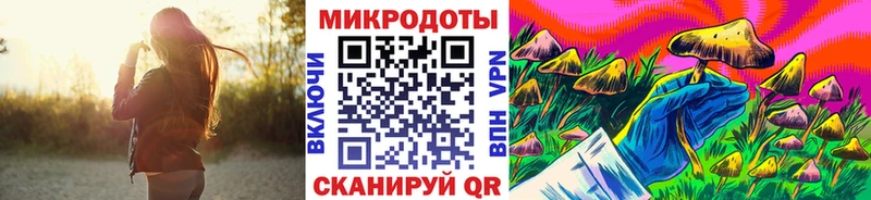 где найти   Камышлов  Псилоцибиновые грибы Psilocybine cubensis 
